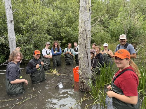 Group of Youth Watershed Council students standing around a turtle trap in a beaver pond.